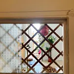 Accommodatie bij particulieren Mariamora Bari