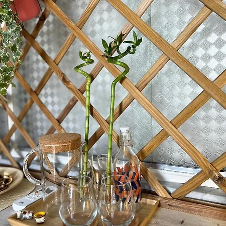 Mariamora ホームステイ *