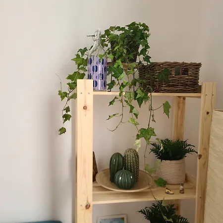 Mariamora ホームステイ *